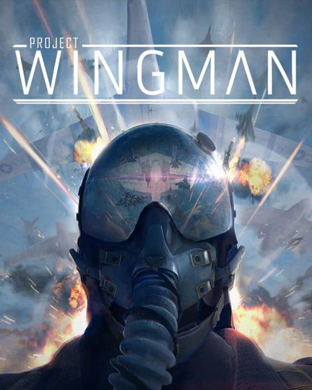 Project Wingman (PC DIGITAL)