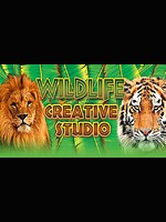 Levně Wildlife Creative Studio (PC) Steam