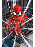 Plakát Spider-Man - Gotcha