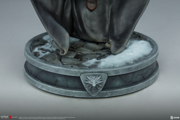 socha the witcher
